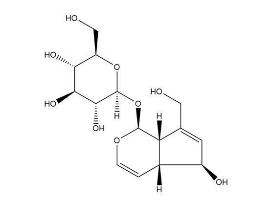 桃葉珊瑚苷