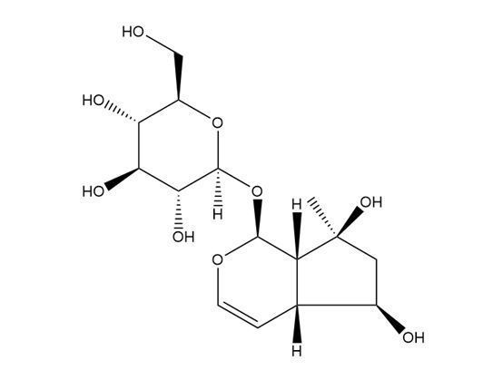 益母草苷